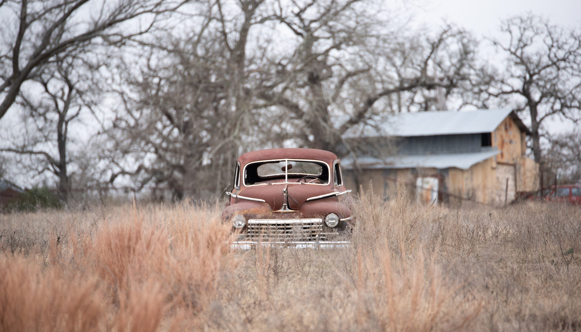 Rusty car parked in the middle of a field, surrounded by tall grass and trees
