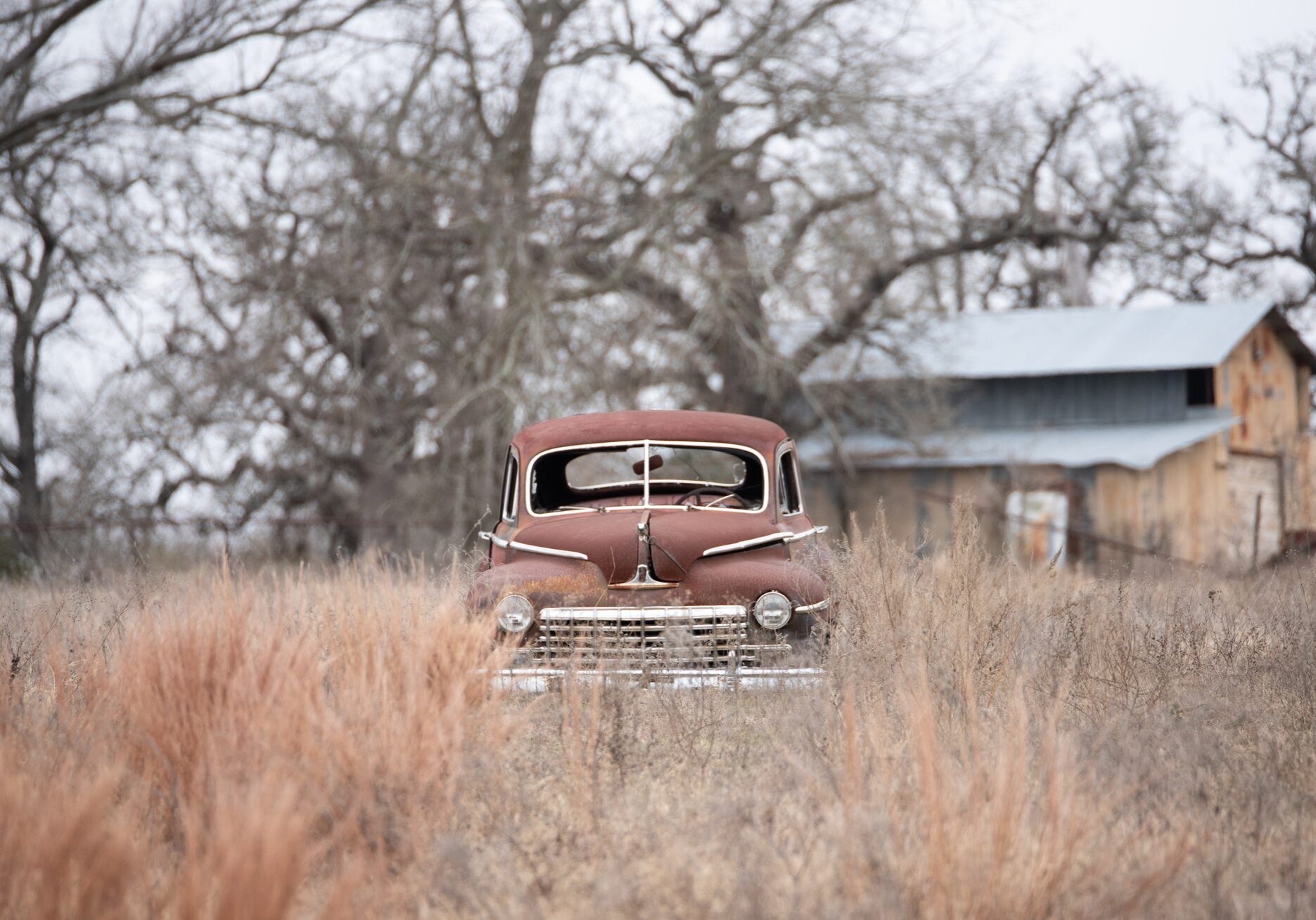 Rusty car parked in the middle of a field, surrounded by tall grass and trees